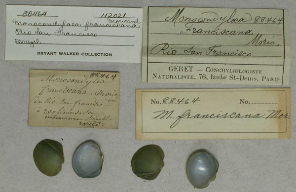 image of lot UMMZ_112021