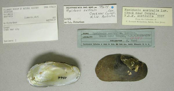 specimen
