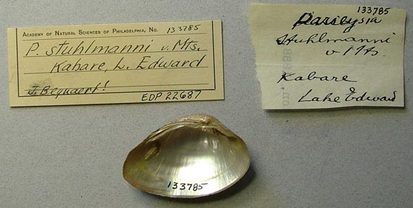 specimen