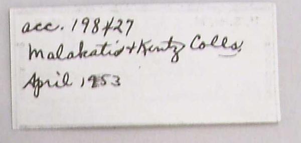 specimen