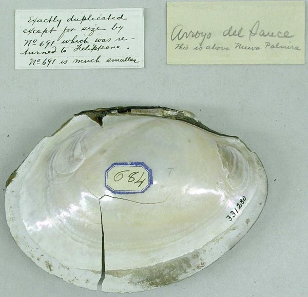 specimen