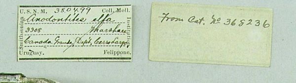 specimen