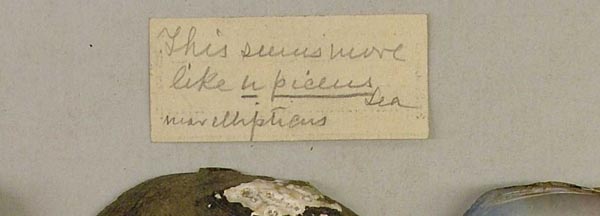 image of lot USNM_122301 image of lot USNM_122301