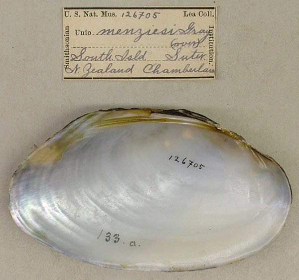 specimen