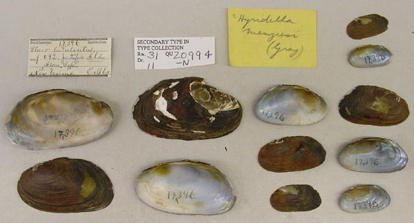 specimen