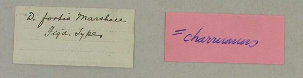 image of lot USNM_270899 image of lot USNM_270899