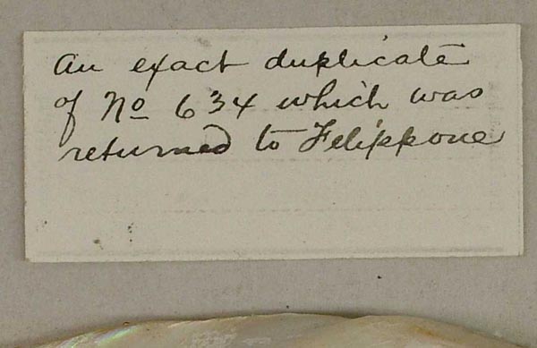 image of lot USNM_331283 image of lot USNM_331283