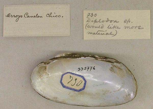 image of lot USNM_335776 image of lot USNM_335776