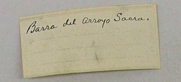 specimen