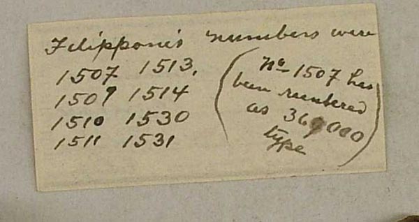 image of lot USNM_346807 image of lot USNM_346807