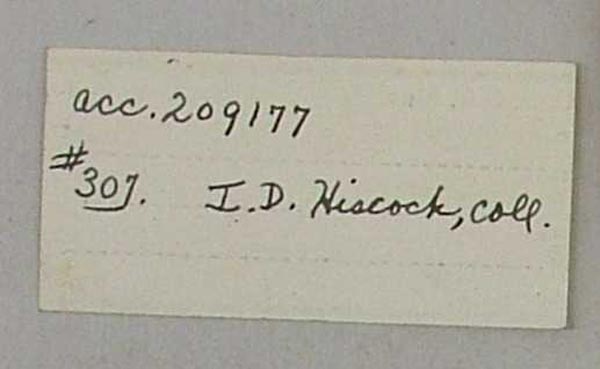 specimen