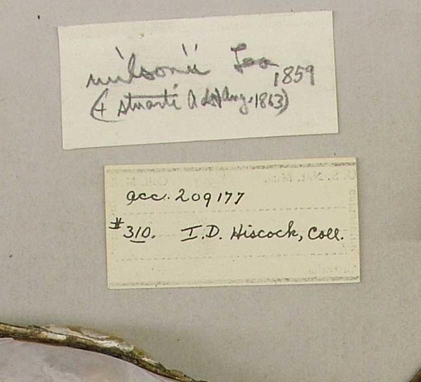 specimen