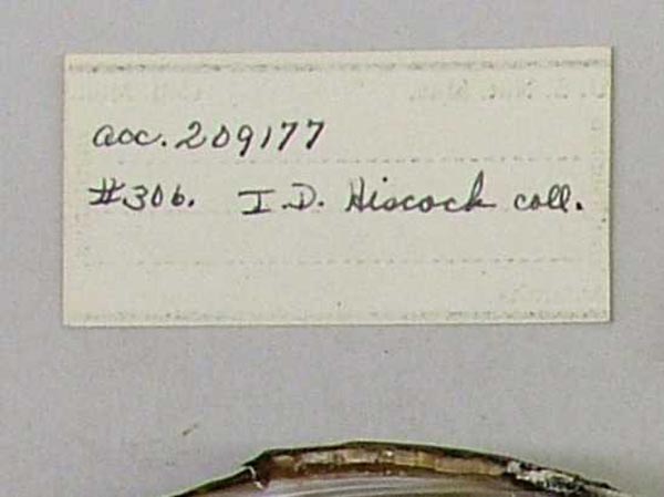 specimen