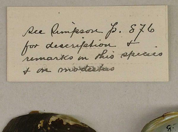 image of lot USNM_85725 image of lot USNM_85725