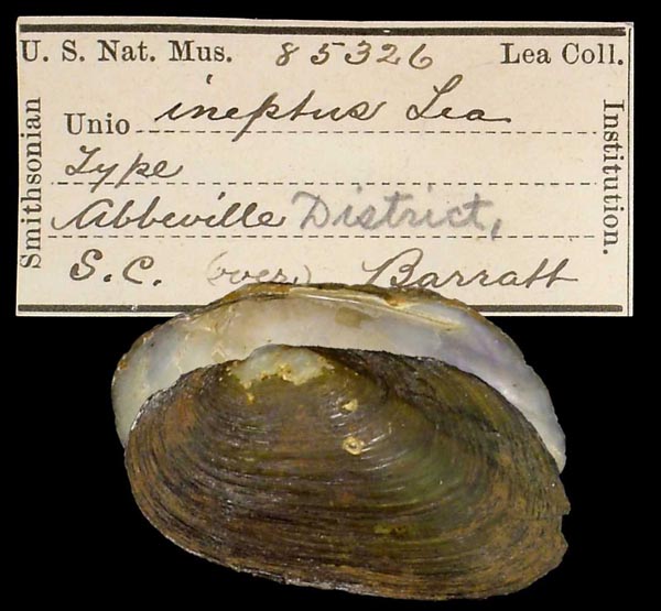 specimen