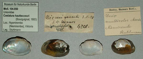 specimen