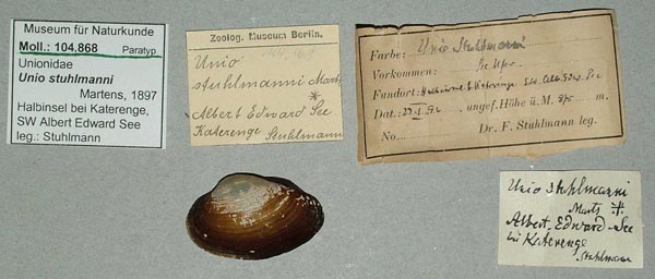 specimen