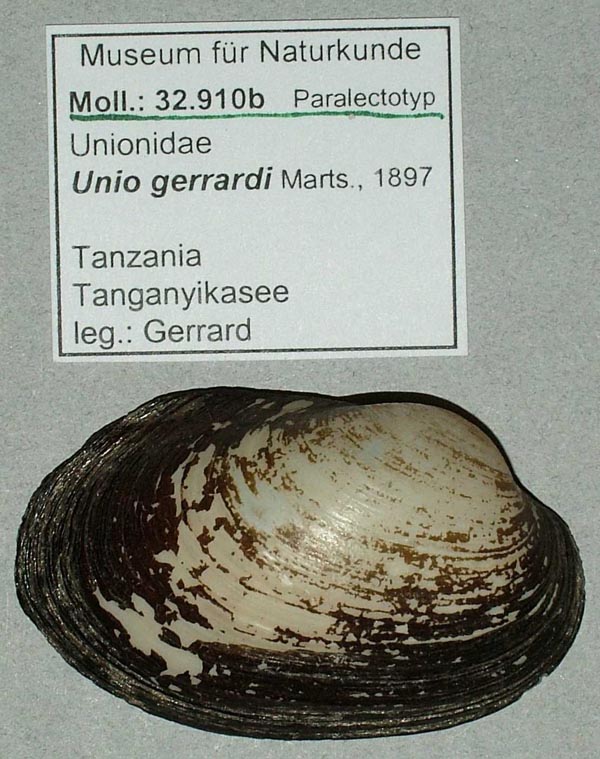 specimen