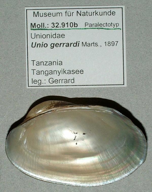 specimen