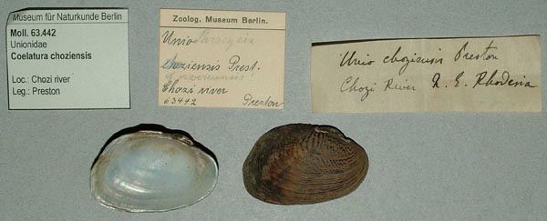 specimen