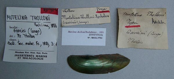 specimen