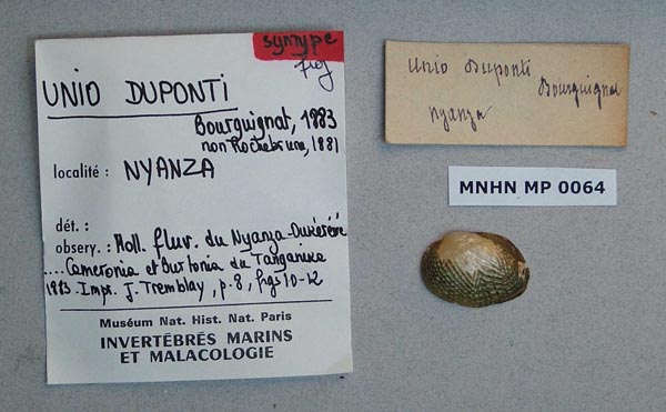 specimen