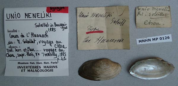 specimen