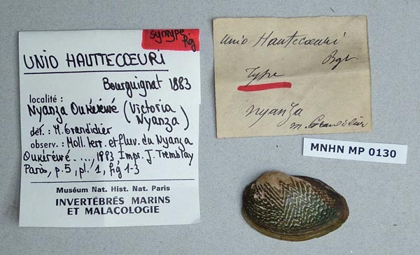 specimen