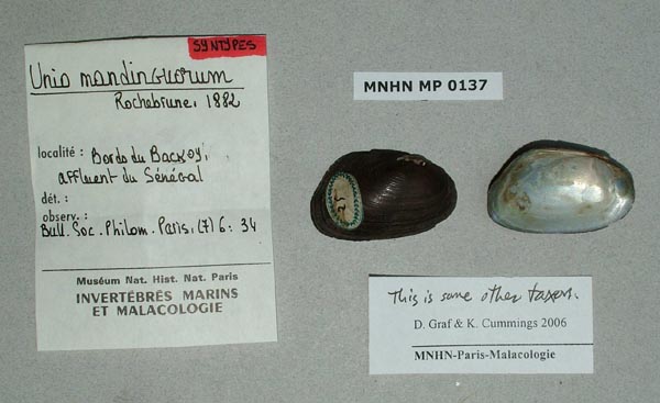 specimen
