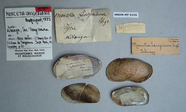 specimen