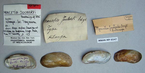 specimen