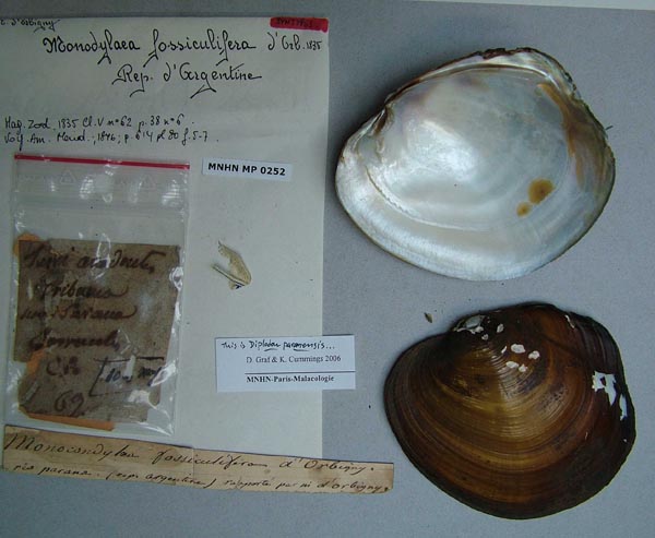 specimen