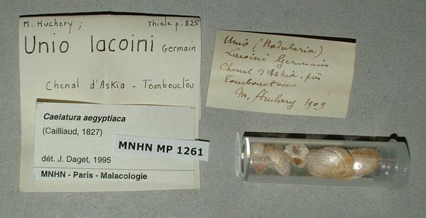 specimen