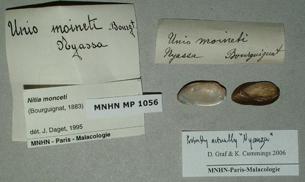 specimen