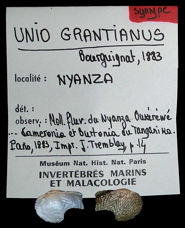 specimen