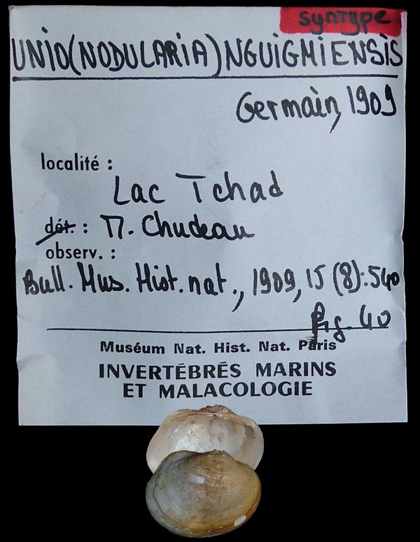 specimen
