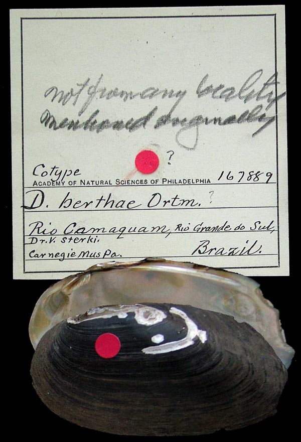 image of lot ANSP_167889 image of lot ANSP_167889