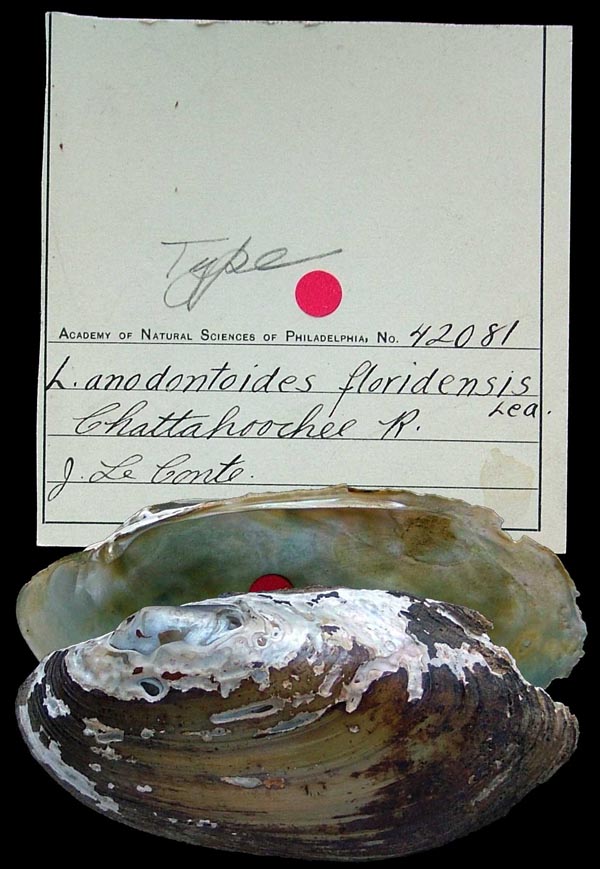 specimen