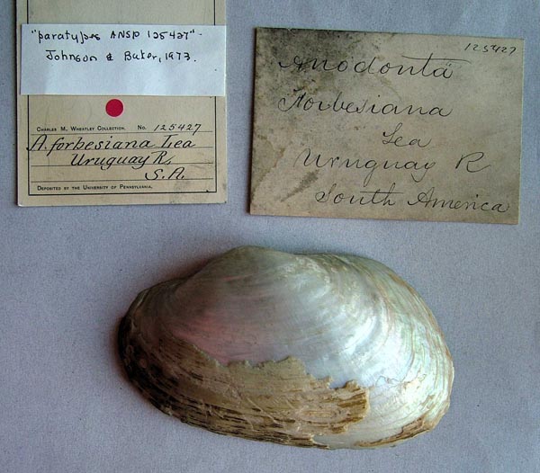 specimen