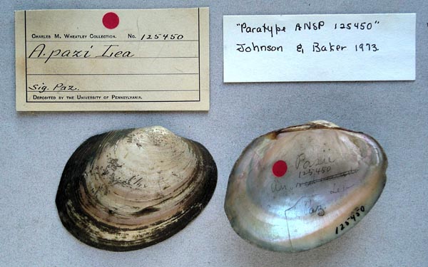 specimen