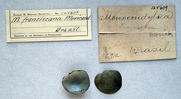 image of lot ANSP_125609