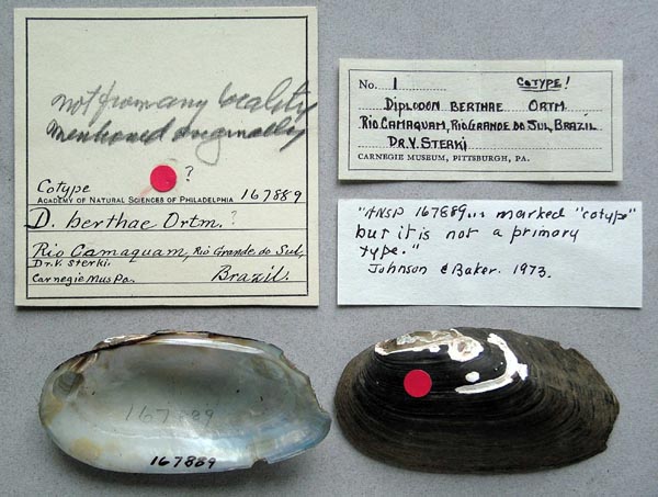 image of lot ANSP_167889 image of lot ANSP_167889