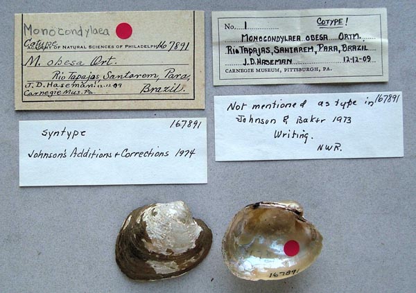 specimen