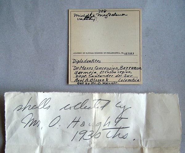 specimen