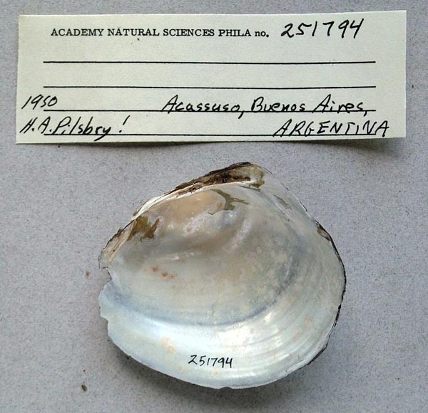 image of lot ANSP_251794 image of lot ANSP_251794