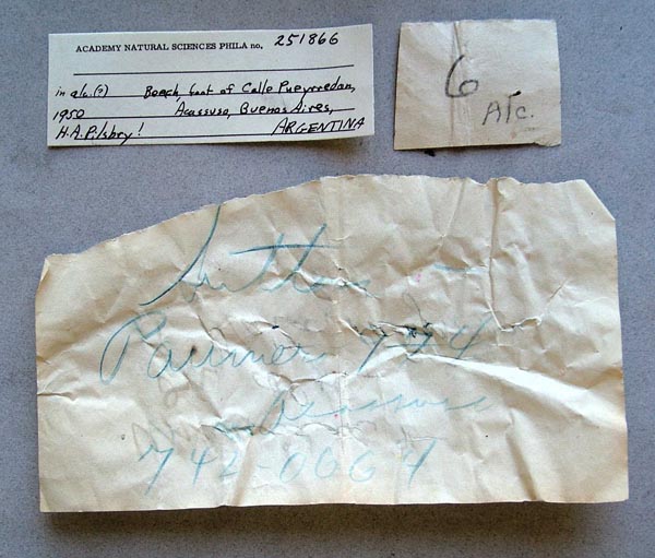 image of lot ANSP_251866 image of lot ANSP_251866