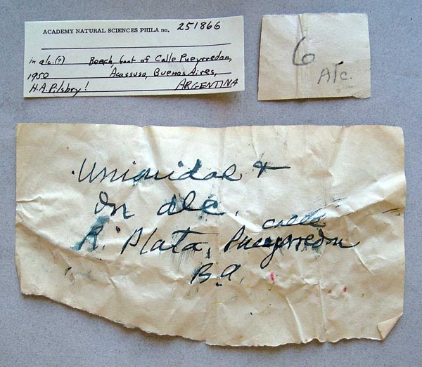 image of lot ANSP_251866 image of lot ANSP_251866