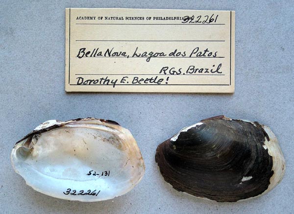 image of lot ANSP_322261 image of lot ANSP_322261