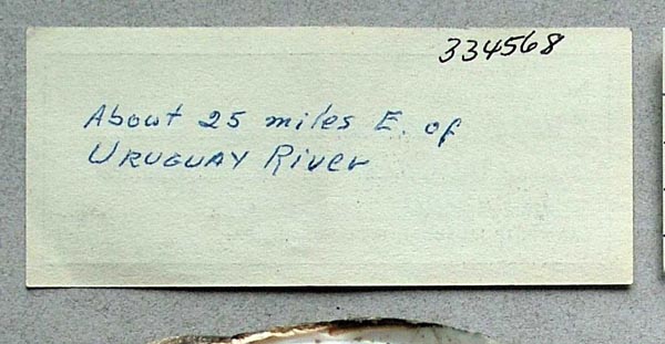 specimen