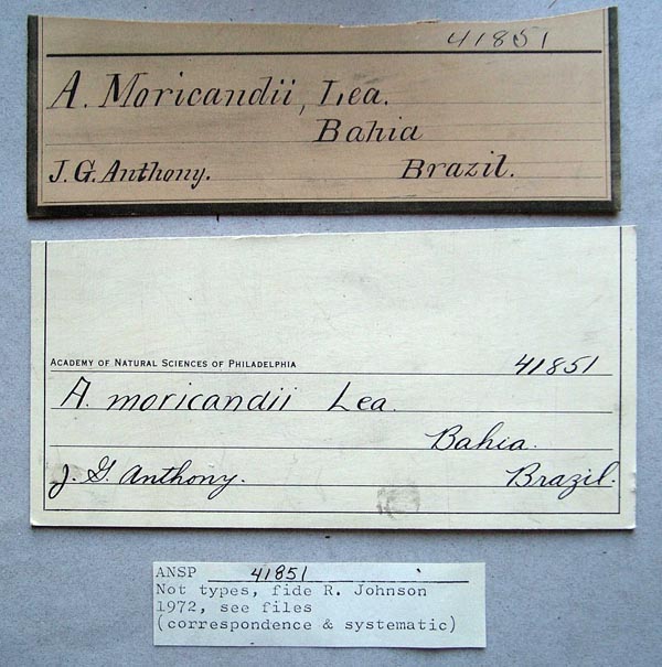 specimen